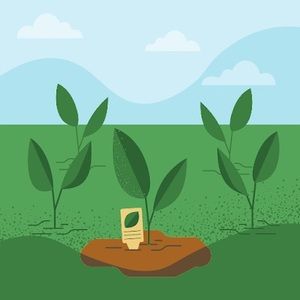 Meet your Posher, Ava